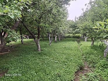 фантаны: Продаётся одноэтажный жилой дом с благоустроенным двором и садом роз — 10