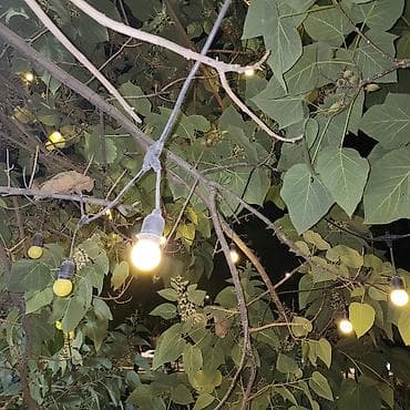 Гирлянда уличная с патронами и лампами «ретро» (теплый белый свет) -