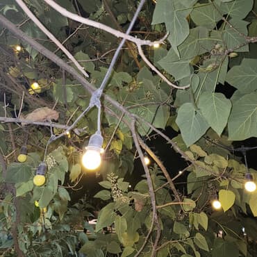 уличная гирлянда из лампочек купить: Гирлянда уличная с патронами и лампами «ретро» (теплый белый свет) - — 1