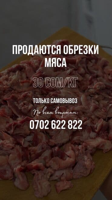 семена помидор цена: Обрезки мяса - Цена: 30 сом/кг - Формат получения: только самовывоз — 1