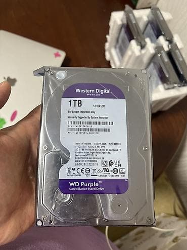 внешний жесткий диск бишкек цена: Накопитель, Новый, Western Digital (WD), HDD, 512 ГБ, Для ПК — 4
