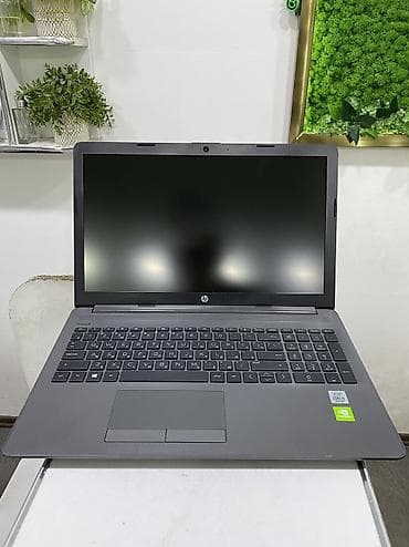 Ноутбук, HP, 8 ГБ ОЗУ, Intel Core i5, 15.6 ", Б/у, Для несложных задач, память SSD