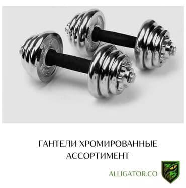 набор гантель в чемодане flexter: Гантели разборные 10+10 кг пара Хромированные Высшего качества — 1