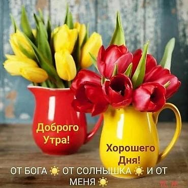 вазы с цветами: Снимаем комнату или домик в районе #8 школы — 1