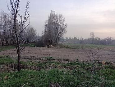 сдаю 1 комнату с подселением: 43 соток, Для сельского хозяйства — 9