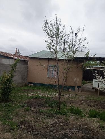 Продаётся земельный участок с жилым домом и хозяйственными