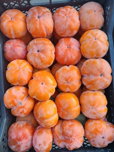 продам тыкву: Хурма (вероятно сорт типа «Королёк/Шоколадная/Ромашка», без косточек) — 3