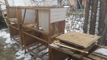 собачий дом: Продоются клетки для кроликов.одноместные(?100) см.и — 4