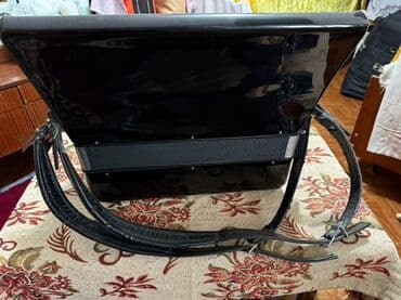 обучение фортепиано: Аккордеон Parrot (кнопочно-клавишный) Описание: - Корпус черного — 7