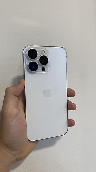 IPhone 13 Pro, Б/у, 256 ГБ, Серебристый, Чехол, Защитное стекло, 83 %