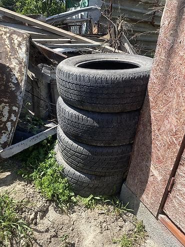 новые шыны: Шины — 1