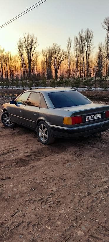 Audi: Audi 100: 1992 г., 2.3 л, Ручные, Газ, Седан — 1