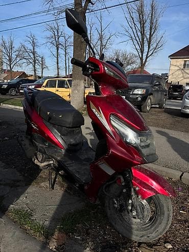 Скутеры: Скутер RedSun (бензиновый, автомат) - Кузов: городской скутер в ярком — 1