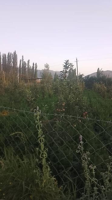 массаж западный: 4 соток, Для строительства, Красная книга — 1