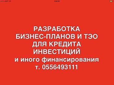 Услуги по разработке бизнес-планов и технико-экономических обоснований — 1