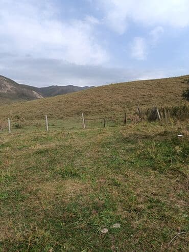 продажа домов в токмаке: Дом, 60 м², 4 комнаты, Собственник, Косметический ремонт — 25