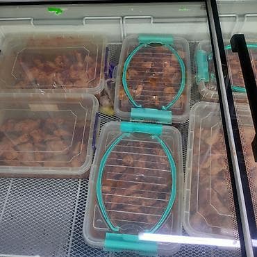 Мясная продукция: Голень, Курдюк, Лопатка, Платная доставка — 1