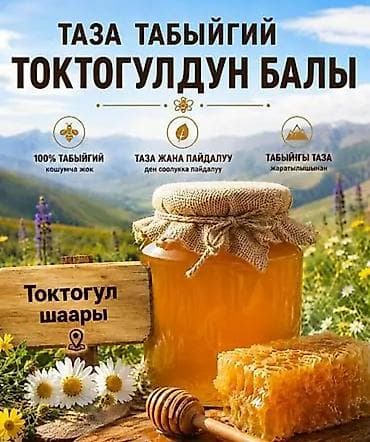 Токтогулдун тоо балы сатылат майский таза бачогу 13000сом сүйлөшүү — 1