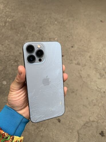 жк монитор samsung syncmaster 2233rz: IPhone 13 Pro Max, Колдонулган, 256 ГБ, Күмүш, Коргоочу айнек, Каптама, Куту, 79 % — 4