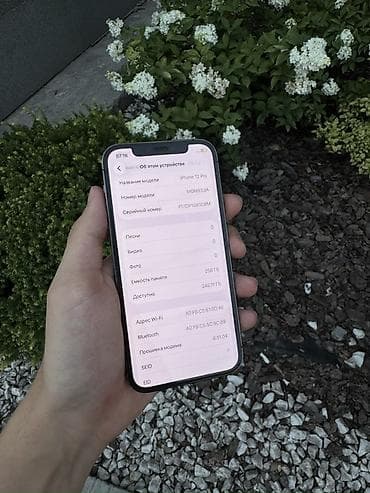 sim: IPhone 12 Pro, Б/у, 256 ГБ, Графит, Зарядное устройство, Защитное стекло, Чехол, В рассрочку, 100 % — 2