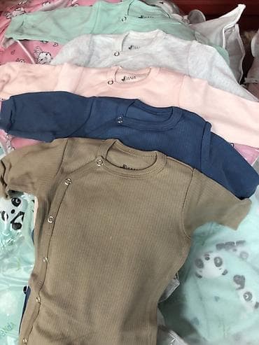 Боди, Новый