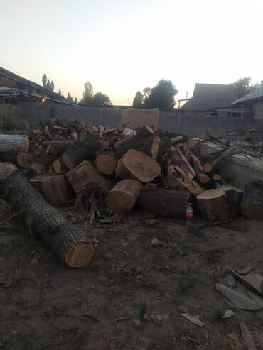 кык сатам: Дрова — 1