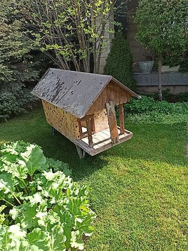 уличный домик для кошки: Продаю | Куры | Несушки — 3