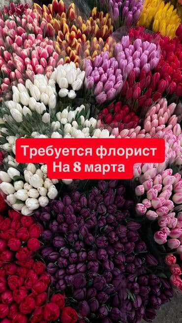 художник работа: Оформитель — 1