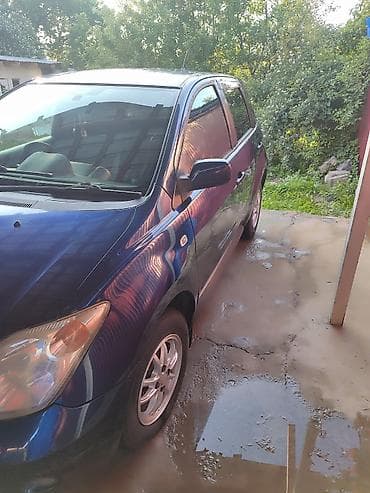 телешка для авто: Toyota Ist: 2003 г., 1.3 л, Автомат, Бензин, Хэтчбэк — 4