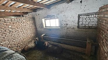 кардиганы мужские: Требуется Скотник, Оплата: Ежемесячно — 5