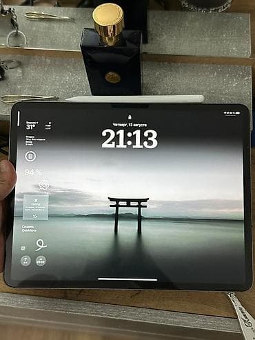 umd диски: Планшет, Apple, память 256 ГБ, 12" - 13", Wi-Fi, Б/у, Классический цвет - Серый — 2