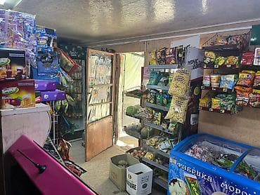 Даяр бизнес: Мини-маркет «Тилек» Ассортимент:живой бизнес - Продукты повседневного — 2