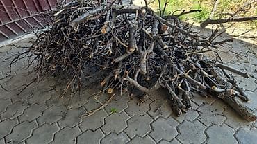 фруктовые: Дрова Фруктовая древесина, Самовывоз — 1
