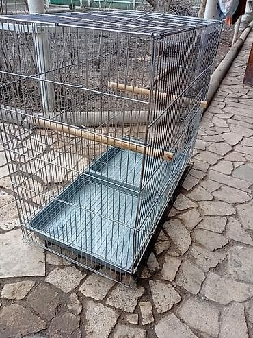 Сетка для птиц попугай амадин 2500 70/60/36