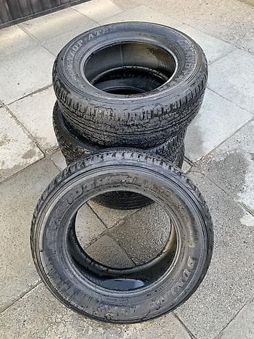 17: Шины R 17, Лето, Б/у, Комплект, Внедорожные (АТ/МТ), DUNLOP — 4