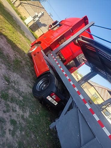 собаки овчарка: Прицеп, DAF, Автовоз — 10