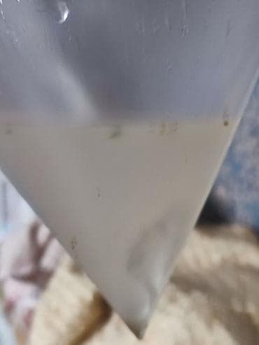 кант масаж: SPA-салон | Массаж — 6