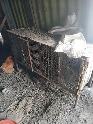 сөөл жан: Продам кролятник .сделанный из трубы и высечки. сделан копииально — 4