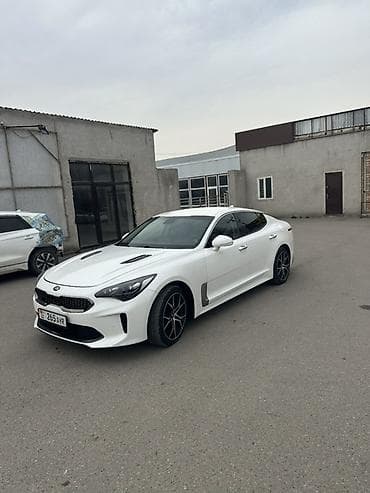 q 7: Kia Stinger: 2018 г., Автомат, Бензин, Лифтбек — 3