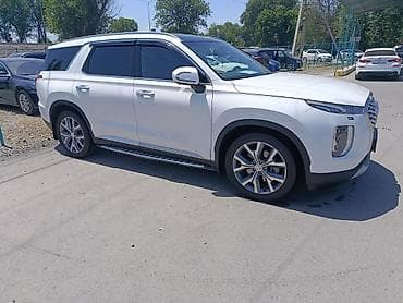 подсветка в салон авто: Hyundai Palisade: 2019 г., Кроссовер — 2