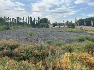 участок для строительства село военно антоновка: 37 соток, Для бизнеса, Красная книга, Тех паспорт, Договор купли-продажи — 4