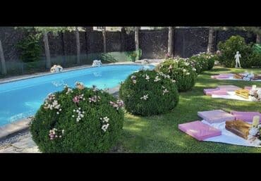 дома в шопокове: Эксклюзив. VIP residence. Аренда особняка. Аренда дома. Длительно — 8