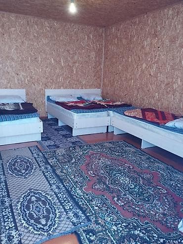 Кемпинг на Иссык-Куле: Песчаный пляж у озера с живописным видом на горы и лесной берег — 10