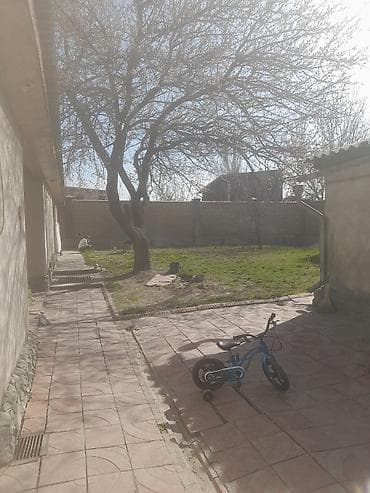 10 га: Дом с ухоженным двором и хозяйственными постройками Ватсап — 7