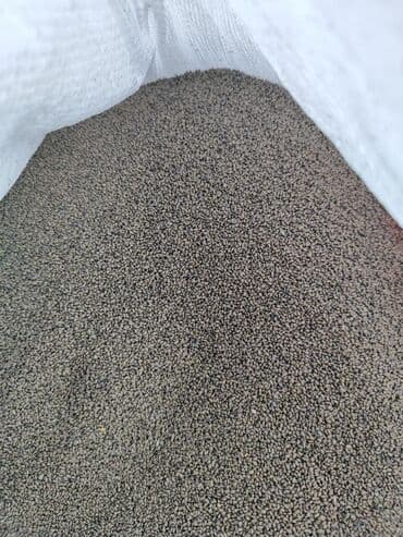 чернозем в мешках бишкек: Семена кормовых растений: Люцерна, Самовывоз — 4