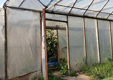 орошаемые земли: Теплица, 300 соток, Действующий, С оборудованием, Электричество, Скважина, Горячая вода — 2
