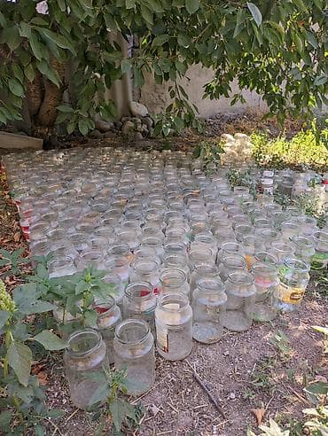 доктор али чайы: 1л - 900гр 255шт. банки с резьбой крышка закручивается 10 сом за 1 — 1