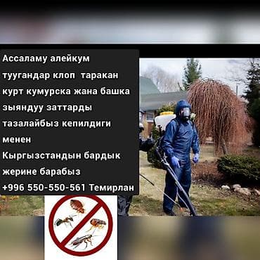Дезинфекция, дезинсекция, | Клопы, Блохи, Тараканы, | Транспорт, Офисы, Квартиры at lalafo.kg Дезинфекция, дезинсекция, | Клопы, Блохи, Тараканы, | Транспорт, Офисы, Квартиры