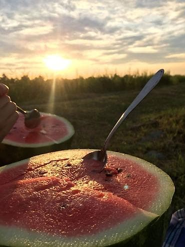 мкр западный: Сдаётся комната с подселением в частном доме (дом разделён на — 5