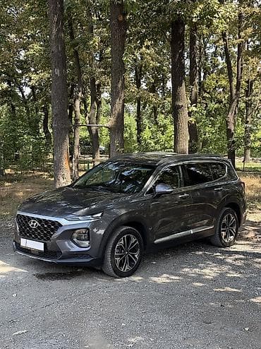 2025: Hyundai Santa Fe: 2019 г., 2 л, Автомат, Дизель, Кроссовер — 1
